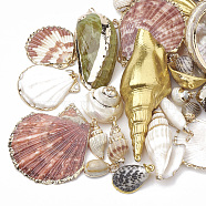 Sea Shell Pendants, Natural Color, Mixed Styles, Mixed Color, 15~86x7~51x5~30mm, Hole: 1~5mm(SSHEL-S258-01)