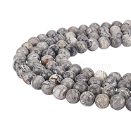 CHGCRAFT 4 Strands Natural Map Stone/Picasso Stone/Picasso Jasper Beads Strands, Round, 10mm, Hole: 1mm, about 39pcs/strand, 15.5 inch(G-CA0001-18)