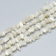Natural White Moonstone Beads Strands, Chip, Old Lace, 3~11x3~5x1~4mm, Hole: 1mm, about 380~400pcs/strand, 33 inch(X-G-S315-34)