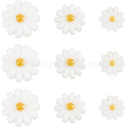 18Pcs 3 Style Natural Freshwater Shell Beads, with Enamel, Flower, Seashell Color, 8~12x4~4.5mm, Hole: 0.8~0.9mm, 6pcs/style(SHEL-BC0001-020)