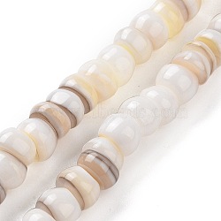 Natural Cultured Freshwater Shell Beads Strands, Dyed, Rondelle, Goldenrod, 6.5~7.5x2~6.5mm, Hole: 1mm, about 85pcs/strand, 14.88 inch(37.8cm)(SHEL-F002-01D)