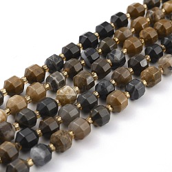 Natural Petrified Wood Beads Strands, Faceted, with Seed Beads, Polygon, 8x6mm, Hole: 1.2mm, about 40pcs/strand, 14.96 inch(38cm)(G-B010-01)