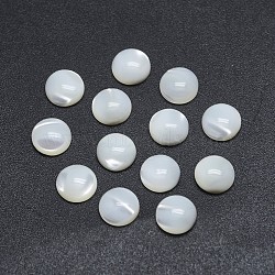 Shell Cabochons, Flat Round, 8x2~3mm(X-SSHEL-P015-61-8mm)