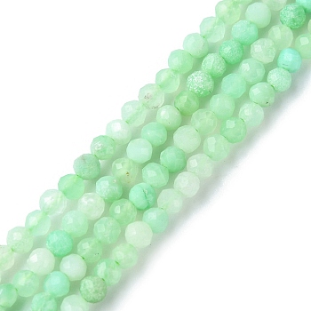 Natural Chrysoprase Beads Strands, Faceted, Round, 3mm, Hole: 0.7mm, about 130~140pcs/strand, 15.35~15.47 inch(39~39.3cm)