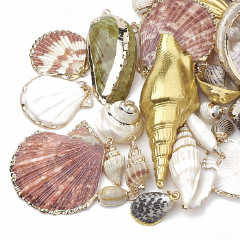 Sea Shell Pendants, Natural Color, Mixed Styles, Mixed Color, 15~86x7~51x5~30mm, Hole: 1~5mm