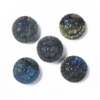 Natural Labradorite Cabochons, Flat Round with Tiger Head, 34~35x33.5~34x8.5~13mm