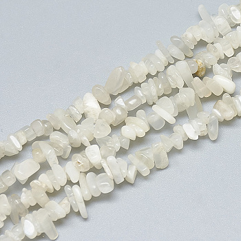 Natural White Moonstone Beads Strands, Chip, Old Lace, 3~11x3~5x1~4mm, Hole: 1mm, about 380~400pcs/strand, 33 inch