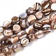 Natural Freshwater Shell Beads Strands(SSHEL-N040-16)-1
