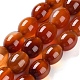 Natural Red Agate Beads Strands(G-NH0019-C02-01)-1