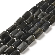Natural Larvikite Beads Strands, with Seed Beads, Faceted, Column, 8.5~11x5.5~6.5mm, Hole: 1mm, about 14~15pcs/strand, 7.48''(19cm)(G-N327-06-32)