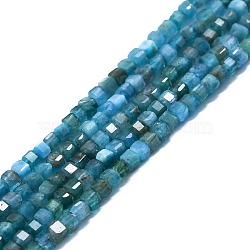 Natural Apatite Beads Strands, Faceted, Cube, 2x2x2mm, Hole: 0.6mm, about 182pcs/strand, 15.16''~15.55''(38.5~39.5cm)(G-P457-B01-14)