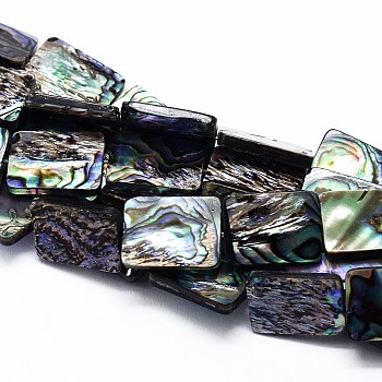 Natural Paua Shell Beads Strands, Rectangle, Colorful, 13x9x3mm, Hole: 1mm, about 33pcs/strand, 16.3 inch