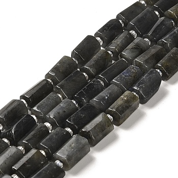 Natural Larvikite Beads Strands, with Seed Beads, Faceted, Column, 8.5~11x5.5~6.5mm, Hole: 1mm, about 14~15pcs/strand, 7.48''(19cm)
