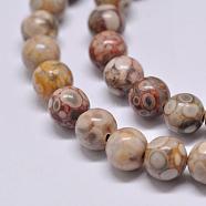 Natural Maifanite/Maifan Stone Beads Strands, Round, 10mm, Hole: 1mm, about 38pcs/strand, 15.1 inch(G-F353-10mm)