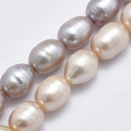 Natural Cultured Freshwater Pearl Beads Strands, Rice, Mixed Color, 8~13x7mm, Hole: 0.8mm, about 42pcs/strand, 14 inch(35.5cm)(PEAR-F007-85-01)