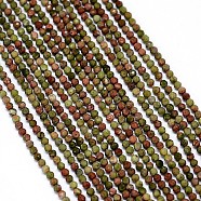 Natural Unakite Bead Strands, Faceted, Round, 2mm, Hole: 0.5mm, about 170~180pcs/strand, 12.9 inch~13.3 inch(330~340mm)(G-G914-2mm-30)