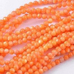 Natural Shell Beads Strands, Dyed, Round, Orange, about 5.5mm in diameter, hole: 1mm, about 72pcs/strand, 15.7 inch(PRS002Y)