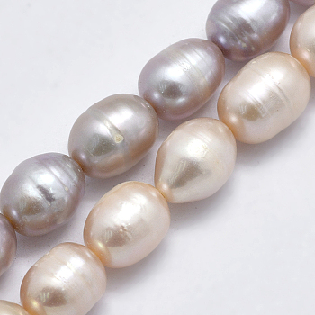 Natural Cultured Freshwater Pearl Beads Strands, Rice, Mixed Color, 8~13x7mm, Hole: 0.8mm, about 42pcs/strand, 14 inch(35.5cm)