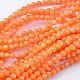 Natural Shell Beads Strands(PRS002Y)-1