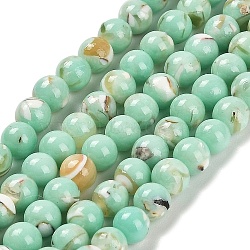 Assembled Synthetic Stone and Trochus Shell Beads Strands, Dyed, Round, Aquamarine, 4~4.5mm, Hole: 0.6mm, about 91pcs/strand, 15.63''(39.7cm)(G-B128-08A-02)