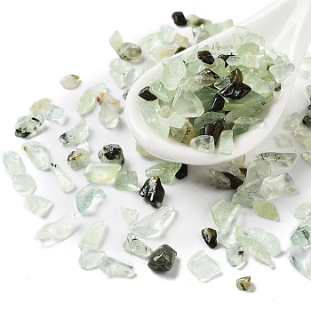 Natural Prehnite Chips Beads, No Hole, 3~9x3~5x1.5~3mm