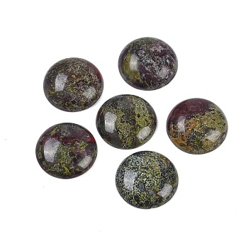 Natural Dragon Blood Cabochons, Half Round/Dome, 25x5.5mm