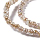 Drawbench Style Natural Freshwater Shell Beads Strands(SHEL-F003-10A)-4