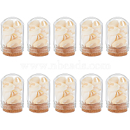 Arch Shape Glass Dome Bell Jar with Natural Mixed Cowrie Shell inside, for Home Decoration, PapayaWhip, 37x20mm, 10pcs/set(AJEW-AB00017)