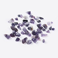 Amethyst Chips Floating Charms Fit Floating Locket Pendants, No Hole/Undrilled, 5~8mm(G-F014-1)