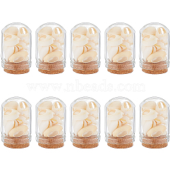 Arch Shape Glass Dome Bell Jar with Natural Mixed Cowrie Shell inside, for Home Decoration, PapayaWhip, 37x20mm, 10pcs/set(AJEW-AB00017)