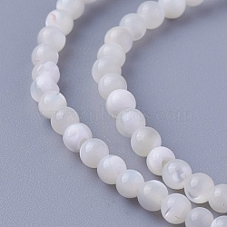 Shell Beads Strands, Round, 3~3.2mm, Hole: 0.5mm, about 130pcs/strand, 14.96 inch(38cm)(SSHEL-E571-39-3mm)
