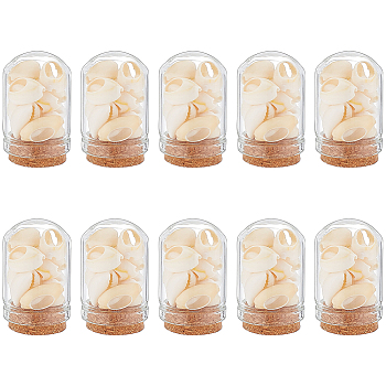 Arch Shape Glass Dome Bell Jar with Natural Mixed Cowrie Shell inside, for Home Decoration, PapayaWhip, 37x20mm, 10pcs/set