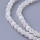Shell Beads Strands(SSHEL-E571-39-3mm)-1