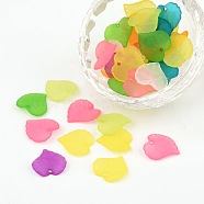 Mixed Transparent Forsted Leaf Acrylic Charms, about 16mm long, 15mm wide, 2mm thick, hole: 1.2mm(X-PL591)