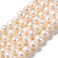 Natural Cultured Freshwater Pearl Beads Strands, Two Sides Polished, Grade 4A, Linen, 6.5~7x6.5~8x6~6.5mm, Hole: 0.6mm, about 52~53pcs/strand, 13.58~13.78''(34.5~35cm)(PEAR-E017-10)