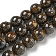 Natural Boulder Opal Beads Strands, Round, 10mm, Hole: 0.8mm, about 37~38pcs/strand, 14.96''~15.43''(38~39.2cm)(G-P544-A01-03)