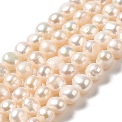 Natural Cultured Freshwater Pearl Beads Strands, Two Sides Polished, Grade 4A, Linen, 6.5~7x6.5~8x6~6.5mm, Hole: 0.6mm, about 52~53pcs/strand, 13.58~13.78''(34.5~35cm)(PEAR-E017-10)