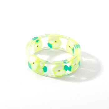 Resin Plain Band Rings, Polymer Clay Fruit Slice inside Rings for Women Girls, Apple, 17mm