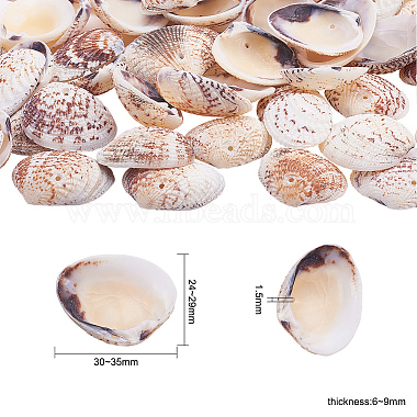 1 boîte coquilles coquilles Saint-Jacques coquille de palourde perles colorées avec des trous pour la fabrication artisanale 40-50pcs(BSHE-YW0001-01)-3