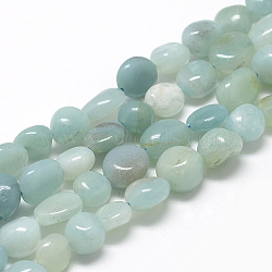 Natural Amazonite Beads Strands, Nuggets, 8~15x7~12x4~12mm, Hole: 1mm, about 30~45pcs/strand, 15.7 inch(X-G-R445-8x10-21)