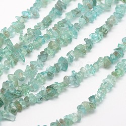 Chips Natural Apatite Beads Strands, 3~8x3~12x3~5mm, Hole: 1mm, about 32 inch(X-G-N0164-44)