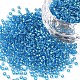 11/0 Grade A Transparent Glass Seed Beads(X-SEED-Q007-F45)-1