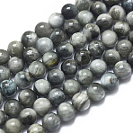 Natural Eagle Eye Beads Strands, Round, 4~5mm, Hole: 0.8mm, about 96pcs/strand, 15.55 inch(39.5cm)(G-I281-02-4mm)