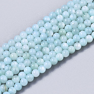 Natural Freshwater Shell Beads Strands, Dyed, Round, Pale Turquoise, 2.5mm, Hole: 0.7mm, about 150~190pcs/Strand, 14.96 inch~15.75 inch(BSHE-T009-01C)