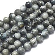 Natural Eagle Eye Beads Strands, Round, 4mm, Hole: 0.8mm, about 96pcs/strand, 15.55 inch(39.5cm)(G-I281-02-4mm)