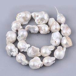 Natural Baroque Pearl Keshi Pearl Beads Strands, Cultured Freshwater Pearl, Teardrop, Seashell Color, 15~30x13~23x13~15mm, Hole: 0.6mm, about 20pcs/Strand, 15.75 inch(40cm)(PEAR-Q015-007)
