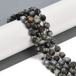 Natural Eagle Eye Stone Beads Strands, Faceted, Bicone, Double Terminated Point Prism Beads, 8x7mm, Hole: 1.2mm, about 40pcs/strand, 15.16''(38.5cm)(G-O201B-124F)