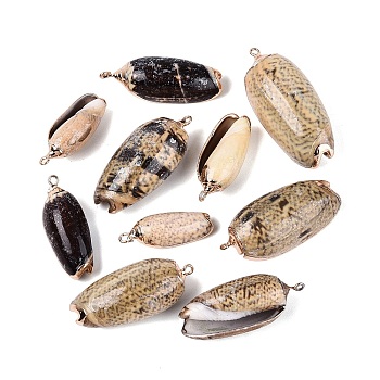 Electroplate Natural Spiral Shell Pendants, Conch Shell Charms with Golden Tone Iron Loops & Brass Edge Findings, Camel, 29~45x11~20x9~16.5mm, Hole: 1.4~1.8mm