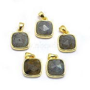 Natural Labradorite Pendants, with Golden Tone Brass Findings, Square, Faceted, 13x11x5mm, Hole: 3.5x5.5mm(G-O176K-09G)