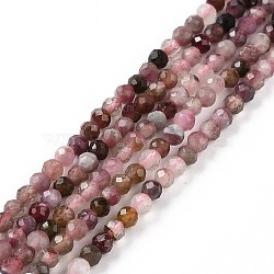 Natural Tourmaline Beads Strands, Faceted, Round, 2.5mm, Hole: 0.5mm, about 174~177pcs/strand, 15.59''(39.6cm)(G-P488-01B)